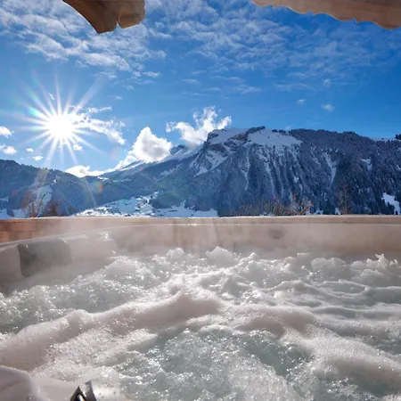 Secret Place Luxury Floor With Jacuzzi A Dream In Old Wood Appartement *