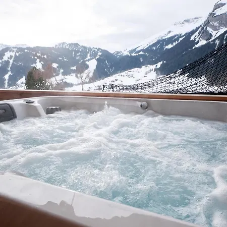 Secret Place Luxury Floor With Jacuzzi A Dream In Old Wood Apartment Lenk im Simmental